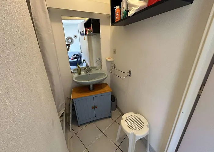 公寓 Appt 2 Pieces Avec Terrasse, Clim, Piscine, Parking A Port Camargue - Fr-1-250-292