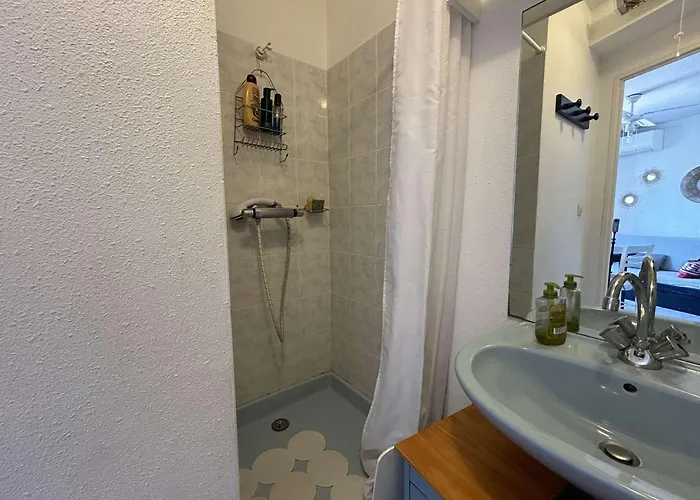 Appt 2 Pieces Avec Terrasse, Clim, Piscine, Parking A Port Camargue - Fr-1-250-292 *