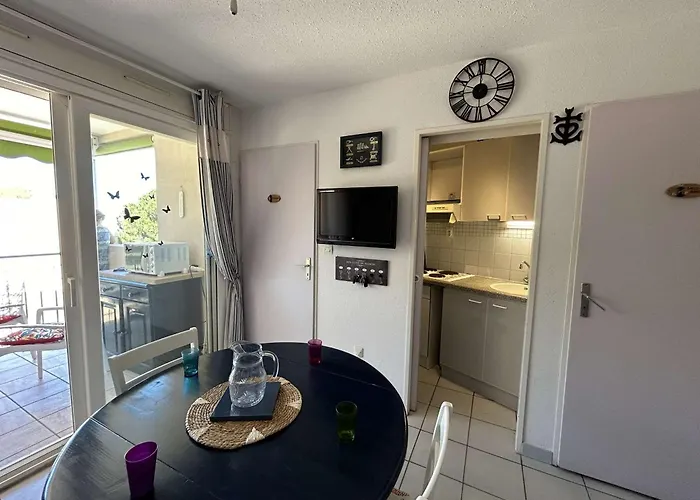 Appt 2 Pieces Avec Terrasse, Clim, Piscine, Parking A Port Camargue - Fr-1-250-292 *