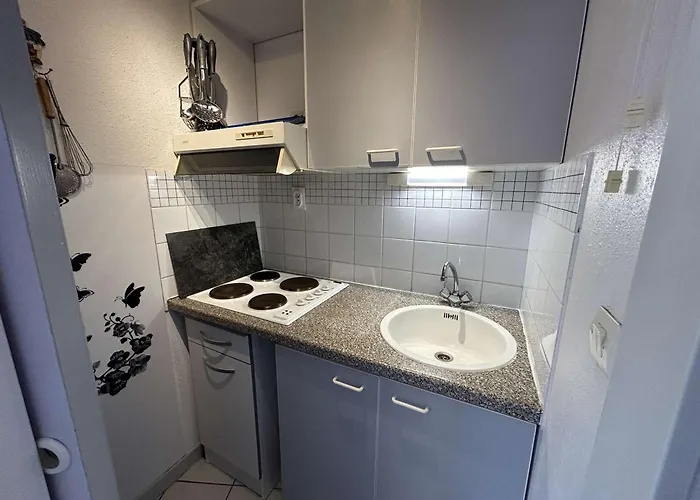 公寓 Appt 2 Pieces Avec Terrasse, Clim, Piscine, Parking A Port Camargue - Fr-1-250-292 *