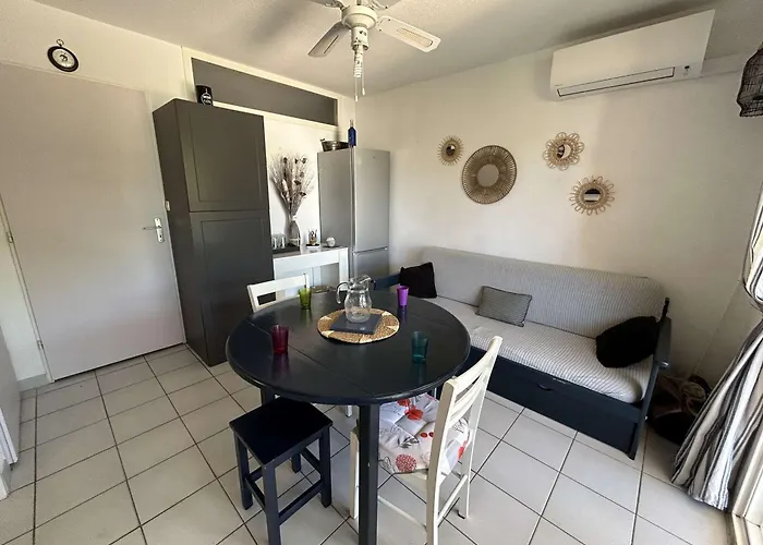 公寓 Appt 2 Pieces Avec Terrasse, Clim, Piscine, Parking A Port Camargue - Fr-1-250-292 勒格罗-迪鲁瓦