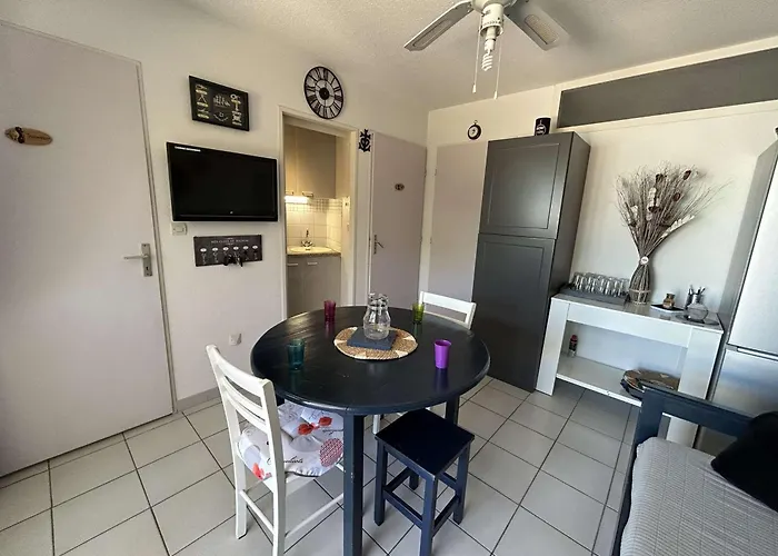 Appt 2 Pieces Avec Terrasse, Clim, Piscine, Parking A Port Camargue - Fr-1-250-292 * 勒格罗-迪鲁瓦