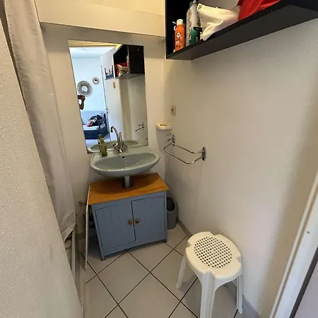 Apartament Appt 2 Pieces Avec Terrasse, Clim, Piscine, Parking A Port Camargue - Fr-1-250-292