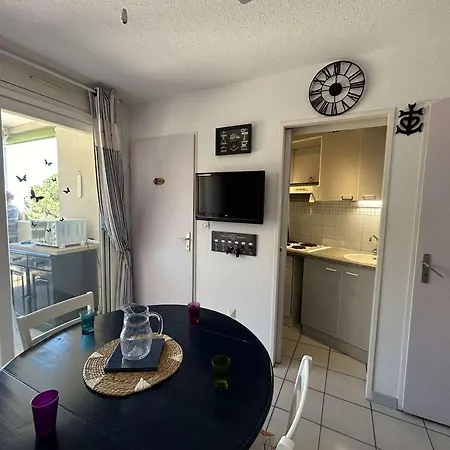 Appt 2 Pieces Avec Terrasse, Clim, Piscine, Parking A Port Camargue - Fr-1-250-292 *