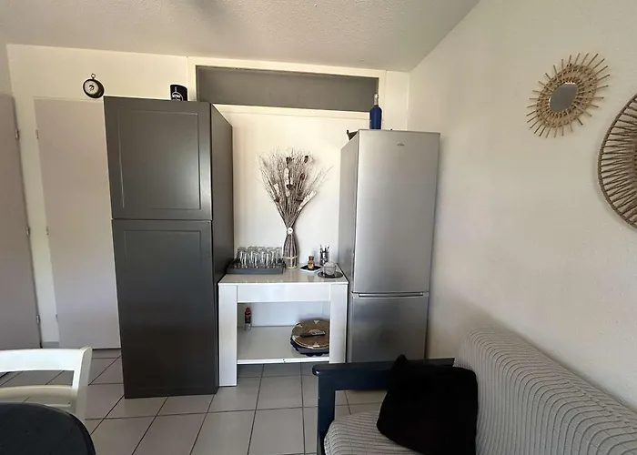 Appt 2 Pièces Climatisé Avec Piscine Et Parking à Port Camargue - Fr-1-250-292 * Le Grau-du-Roi